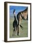 Giraffe and Calf-Paul Souders-Framed Photographic Print