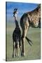 Giraffe and Calf-Paul Souders-Stretched Canvas