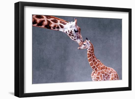 Giraffe and Calf-Lantern Press-Framed Art Print