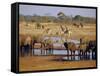 Giraffe and Elephant at a Water Hole, Etosha National Park, Namibia-Christian Kober-Framed Stretched Canvas