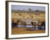 Giraffe and Elephant at a Water Hole, Etosha National Park, Namibia-Christian Kober-Framed Photographic Print