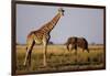 Giraffe and Elephant on the Savanna-Paul Souders-Framed Photographic Print