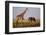 Giraffe and Elephant on the Savanna-Paul Souders-Framed Photographic Print