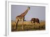 Giraffe and Elephant on the Savanna-Paul Souders-Framed Photographic Print