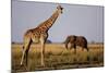 Giraffe and Elephant on the Savanna-Paul Souders-Mounted Photographic Print