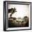 Giraffe and Friends Falcon Ridge Texas-Theo Westenberger-Framed Premium Photographic Print