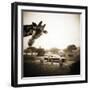 Giraffe and Friends Falcon Ridge Texas-Theo Westenberger-Framed Premium Photographic Print