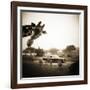 Giraffe and Friends Falcon Ridge Texas-Theo Westenberger-Framed Photographic Print