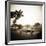 Giraffe and Friends Falcon Ridge Texas-Theo Westenberger-Framed Photographic Print