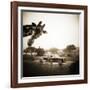 Giraffe and Friends Falcon Ridge Texas-Theo Westenberger-Framed Photographic Print