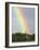 Giraffe, at End of Rainbow, Etosha National Park, Namibia-Tony Heald-Framed Photographic Print