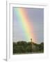 Giraffe, at End of Rainbow, Etosha National Park, Namibia-Tony Heald-Framed Photographic Print