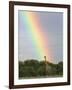 Giraffe, at End of Rainbow, Etosha National Park, Namibia-Tony Heald-Framed Photographic Print