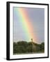 Giraffe, at End of Rainbow, Etosha National Park, Namibia-Tony Heald-Framed Photographic Print