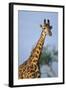 Giraffe at Sunset-Paul Souders-Framed Photographic Print