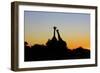 Giraffe at Sunset-null-Framed Photographic Print