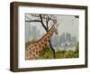 Giraffe at the Sydney Opera House-Theo Westenberger-Framed Art Print