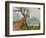 Giraffe at the Sydney Opera House-Theo Westenberger-Framed Art Print