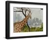 Giraffe at the Sydney Opera House-Theo Westenberger-Framed Art Print