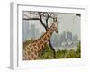 Giraffe at the Sydney Opera House-Theo Westenberger-Framed Art Print