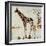 Giraffe Attack-Jodi Maas-Framed Giclee Print