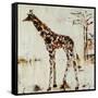 Giraffe Attack-Jodi Maas-Framed Stretched Canvas