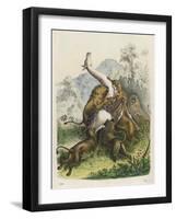 Giraffe Attacked by Six Lions-null-Framed Art Print