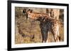 Giraffe Baby-Ivana Tacikova-Framed Photographic Print