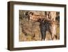 Giraffe Baby-Ivana Tacikova-Framed Photographic Print