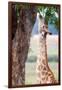 Giraffe, Chobe National Park, Botswana, Africa-Karen Deakin-Framed Photographic Print