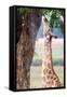 Giraffe, Chobe National Park, Botswana, Africa-Karen Deakin-Framed Stretched Canvas