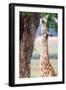 Giraffe, Chobe National Park, Botswana, Africa-Karen Deakin-Framed Photographic Print