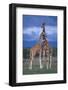 Giraffe Couple-DLILLC-Framed Photographic Print