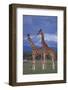 Giraffe Couple-DLILLC-Framed Photographic Print