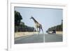 Giraffe Crossing Highway, Kasane, Botswana-Paul Souders-Framed Photographic Print