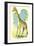 Giraffe Drawing-null-Framed Art Print