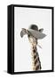 Giraffe Dressed in a Hat-Tai Prints-Framed Stretched Canvas