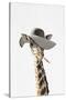 Giraffe Dressed in a Hat-Tai Prints-Stretched Canvas