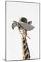 Giraffe Dressed in a Hat-Tai Prints-Mounted Art Print