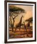 Giraffe Family-Clive Kay-Framed Art Print