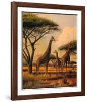 Giraffe Family-Clive Kay-Framed Art Print