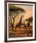 Giraffe Family-Clive Kay-Framed Art Print