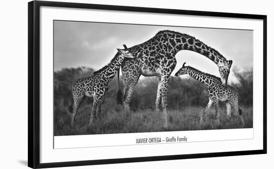 Giraffe Family-Xavier Ortega-Framed Art Print