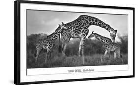 Giraffe Family-Xavier Ortega-Framed Art Print