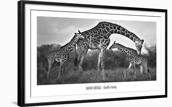 Giraffe Family-Xavier Ortega-Framed Art Print