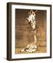 Giraffe, First Kiss-Ron D'Raine-Framed Art Print