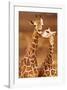 Giraffe, First Love-null-Framed Art Print