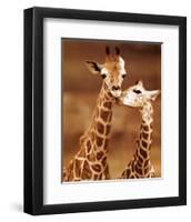 Giraffe, First Love-null-Framed Art Print