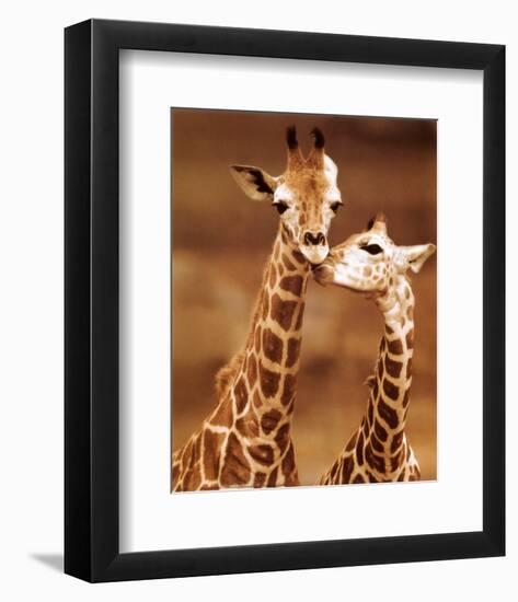 Giraffe, First Love-null-Framed Art Print