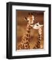 Giraffe, First Love-null-Framed Art Print